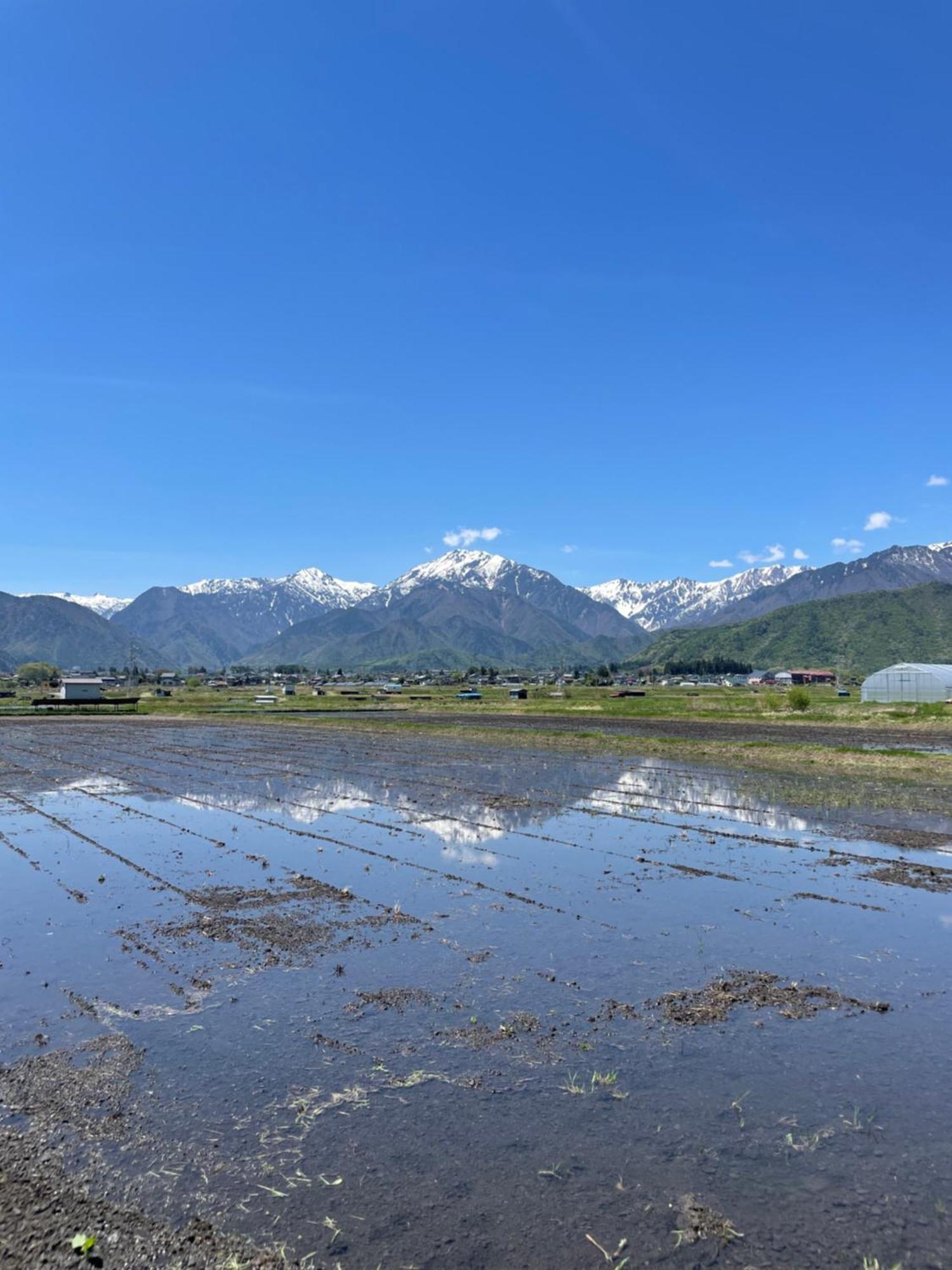 北アルプス麓のゲストハウス林屋 오마치 외부 사진
