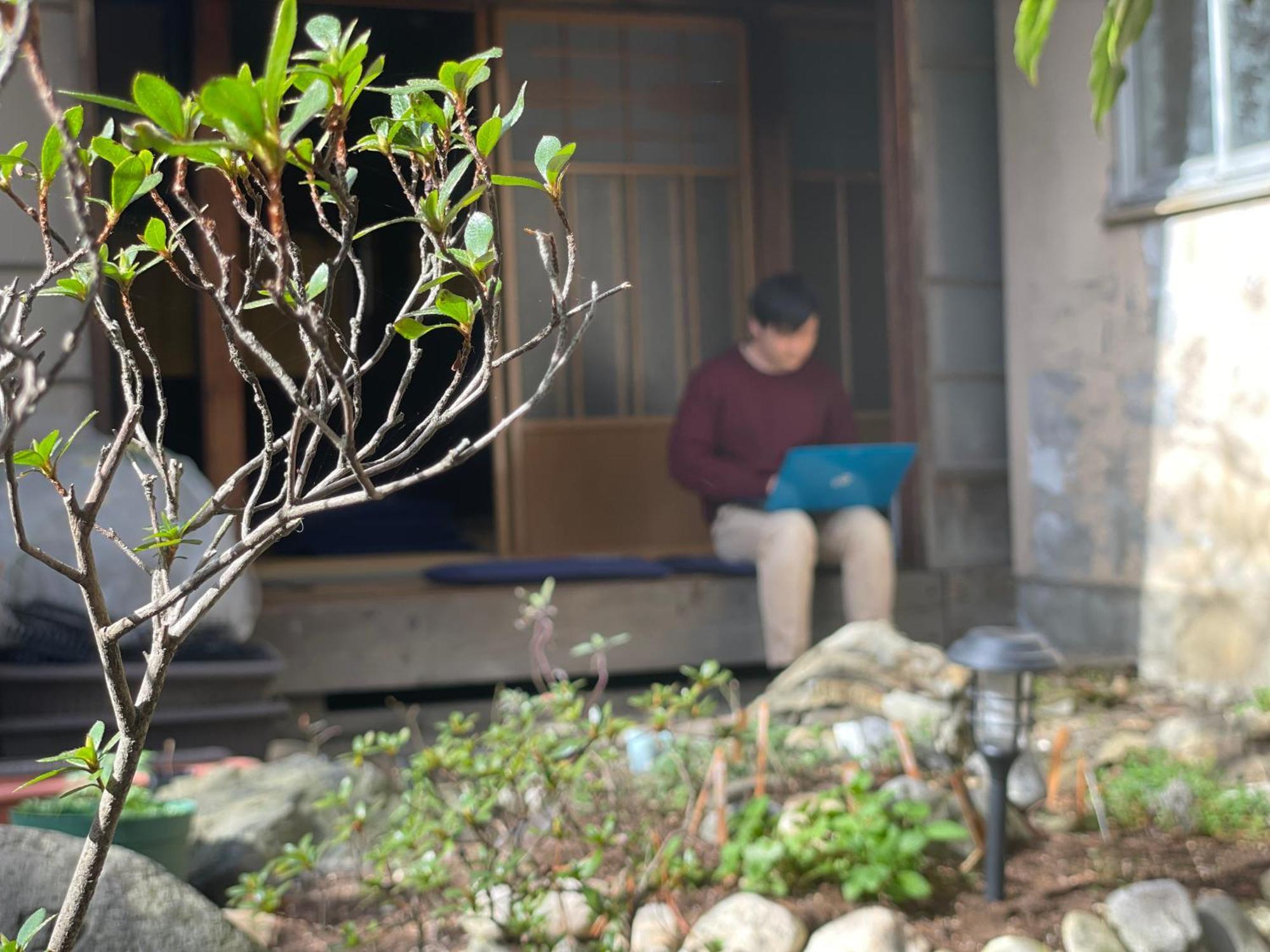 北アルプス麓のゲストハウス林屋 오마치 외부 사진